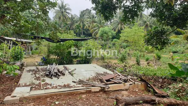 image TANAH  TANGERANG SELATAN MUNCUL SETU (6)