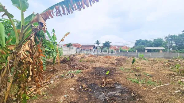 image TANAH DAERAH JAKARTA-BOGOR  (5)