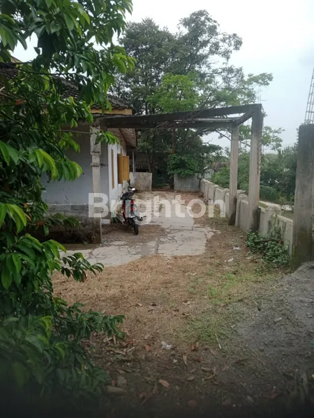 image BELI TANAH DAPAT RUMAH (2)