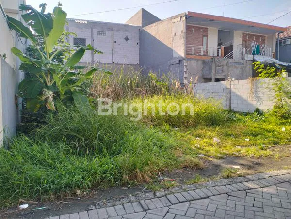 image TANAH HOOK DI MEDOKAN AYU  (1)