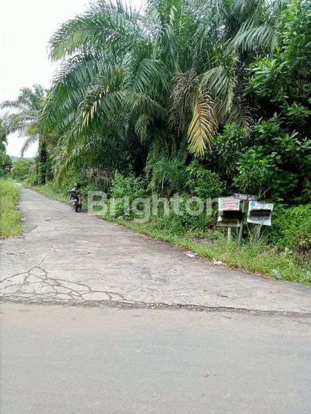 TANAH LUAS DI RUMBAI COCOK UNTUK INVESTASI