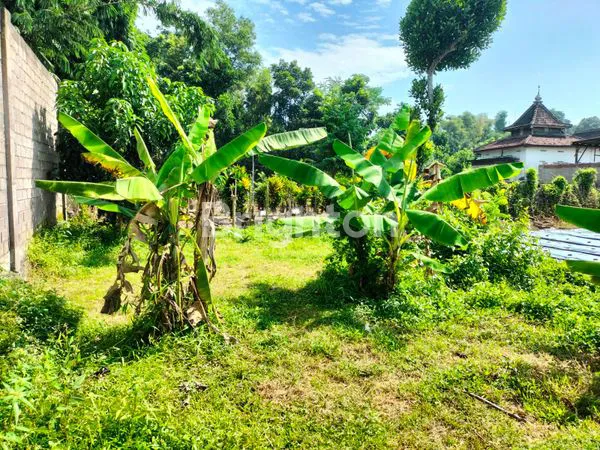 image DIJUAL TANAH DI DS BENDO KEC. PARE (1)