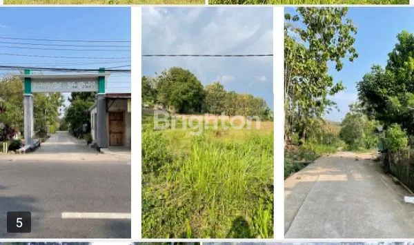 image JL. RAYA DUNGUS MUNGGUT  (5)