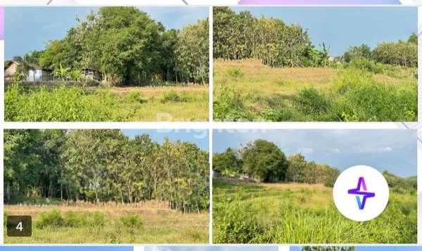 image JL. RAYA DUNGUS MUNGGUT  (3)