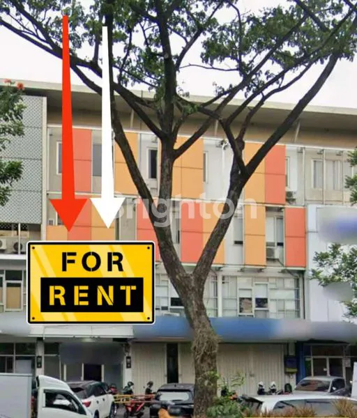 RL0092 RUKO ICON 21 MERR