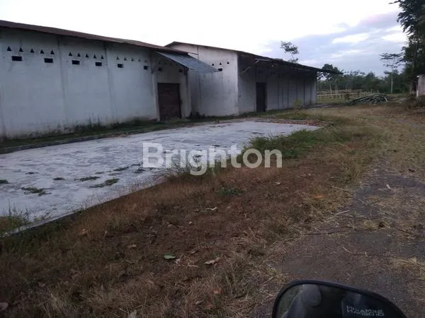 TANAH PERTANIAN DI BONDOWOSO