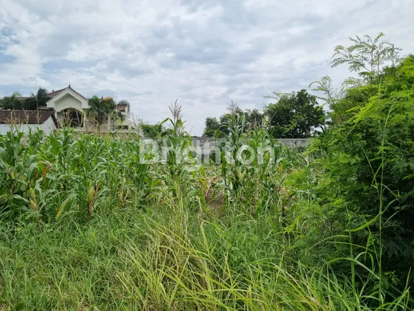 image TANAH DESA SIDOJANGKUNG, MENGANTI GRESIK (5)