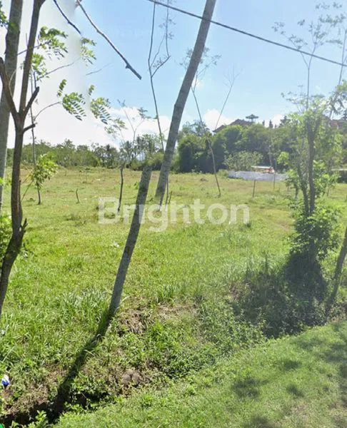 2 HEKTAR TANAH DATAR SIAP BANGUN DI KAWASAN PETERNAKAN BABI DI JEMBRANA