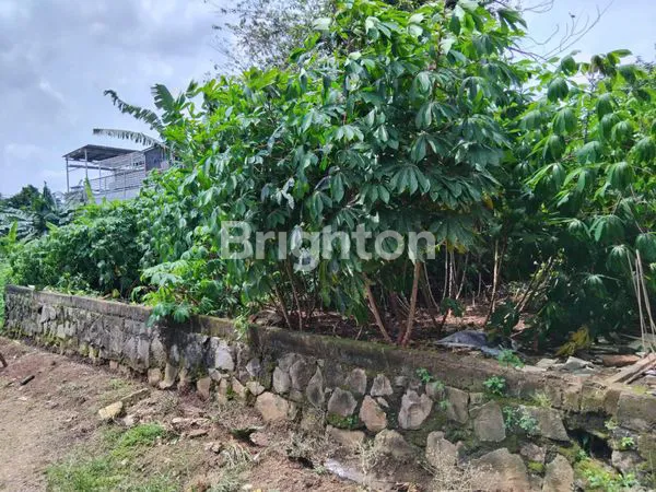 TANAH DI SENDANGMULYO TEMBALANG SEMARANG