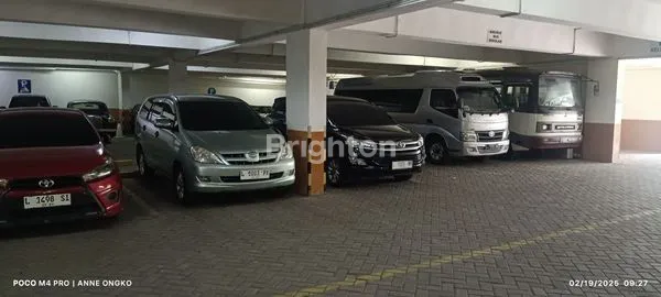 image NEEDS HUGE SPACE UNIT FOR RENT, GREAT DEAL FOR YOU (7)