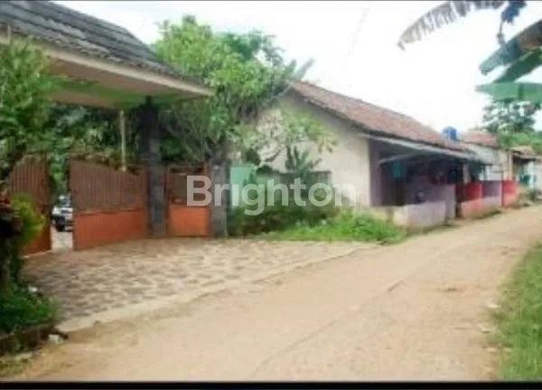 image RUMAH DAN KEBUN DI GUNUNG SINDUR (2)