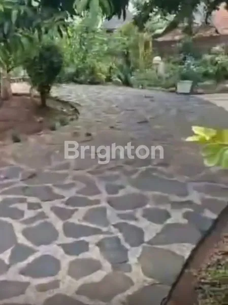 image RUMAH DAN KEBUN DI GUNUNG SINDUR (5)