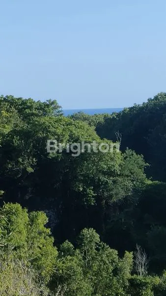 image TANAH DATAR STRATEGIS 10 ARE (3)