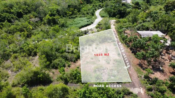 image TANAH DATAR STRATEGIS 10 ARE (2)