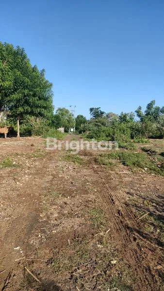 image TANAH DATAR STRATEGIS 10 ARE (6)