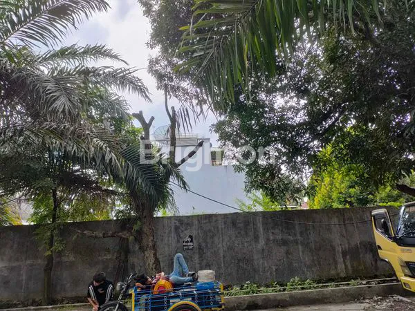 image TANAH SINGOSARI SIMPANG DEMAK (8)