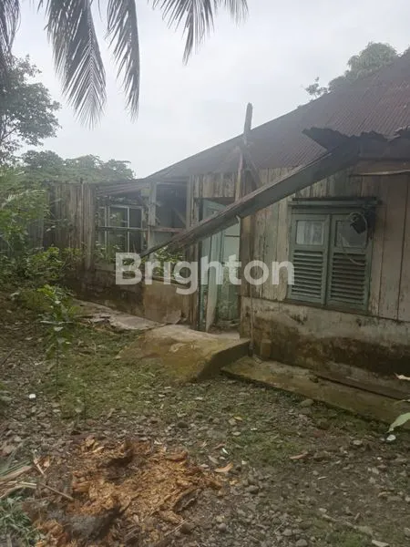 image TANAH DI SM RAJA TELADAN BARAT MEDAN  (2)