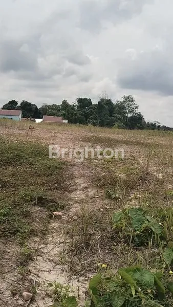 image TANAH LUAS 23.000M² SHM DI LEMPAKE (2)