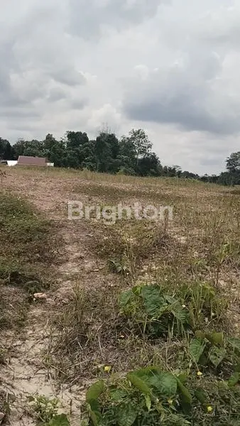 image TANAH LUAS 23.000M² SHM DI LEMPAKE (3)