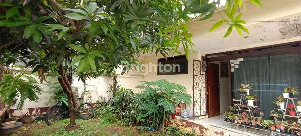 RUMAH TUA  DI MENTENG WADAS JUAL BU