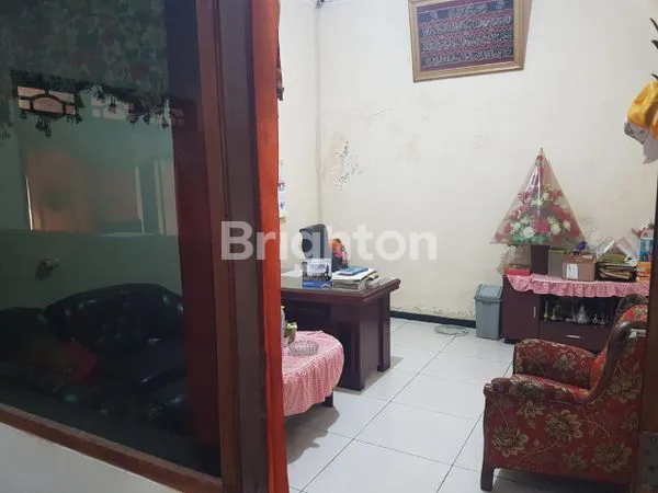 image IKAN GURAME (5)