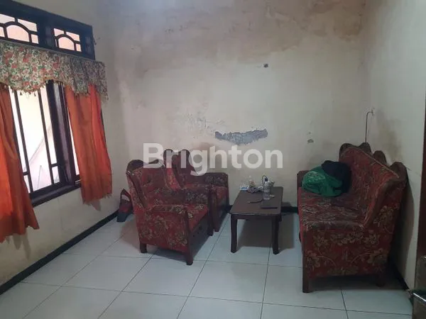 image IKAN GURAME (6)