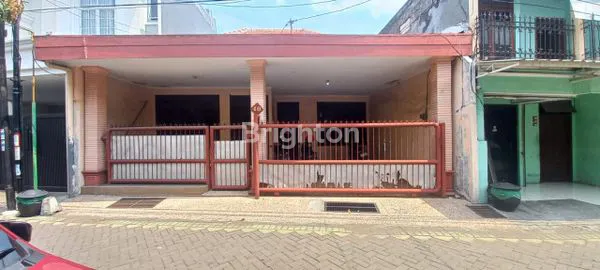 image IKAN GURAME (2)