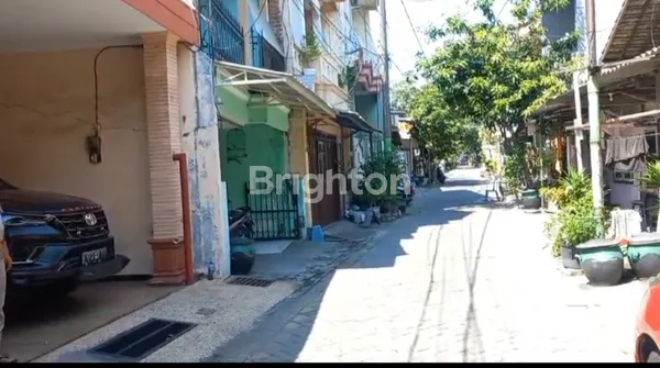 image IKAN GURAME (8)