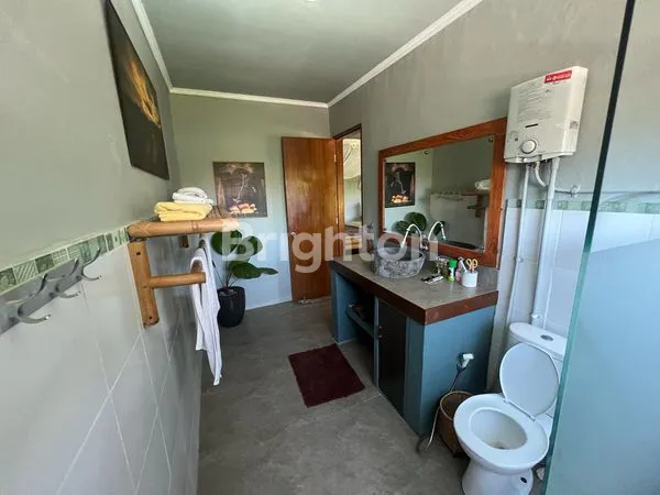 image DREAM VILLA FOR SALE IN THE HEART OF BALIAN (6)