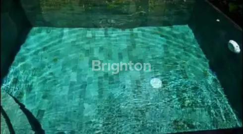 image VILLA UBUD STARTEGIS (3)