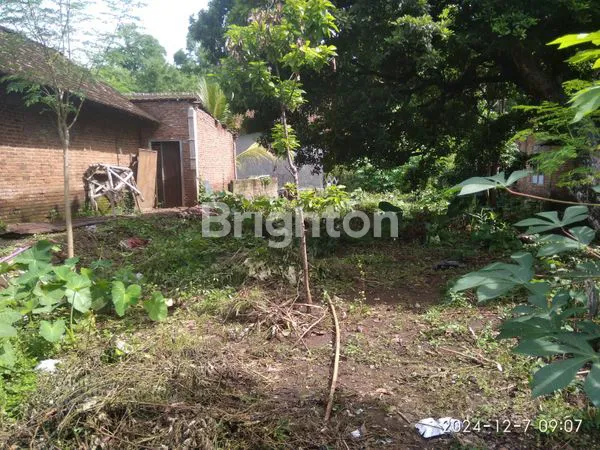 image TANAH STRATEGIS DEKAT TEMPAT PENDIDIKAN, PASAR, DAN BANDARA (2)