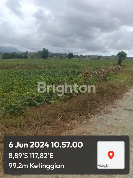 image JUAL TANAH SELUAS 43 HEKTAR DESAA LABANGKA SUMBAWA NTB (4)