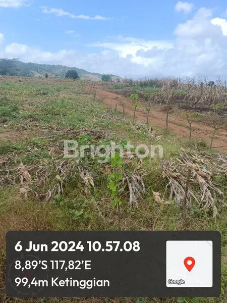 image JUAL TANAH SELUAS 43 HEKTAR DESAA LABANGKA SUMBAWA NTB (1)