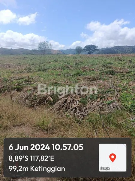 image JUAL TANAH SELUAS 43 HEKTAR DESAA LABANGKA SUMBAWA NTB (2)