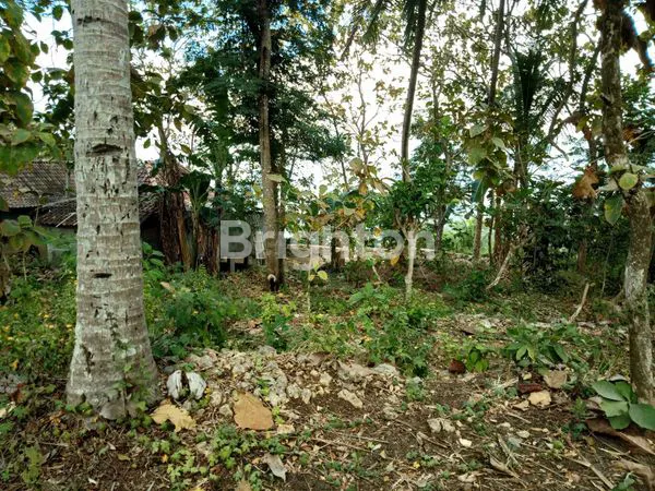 image TANAH DEKAT PARANGTRITIS YOGYAKARTA (5)