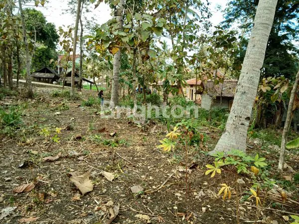 image TANAH DEKAT PARANGTRITIS YOGYAKARTA (3)