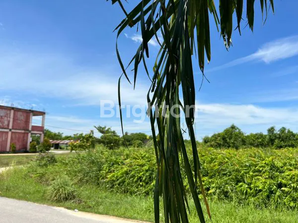 image DIJUAL TANAH KAPLING DI KOTA PEKANBARU RIAU (4)