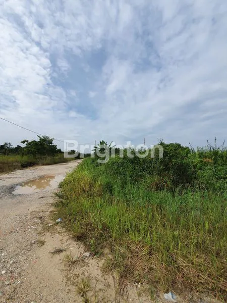 image DIJUAL TANAH KAPLING DI KOTA PEKANBARU RIAU (6)