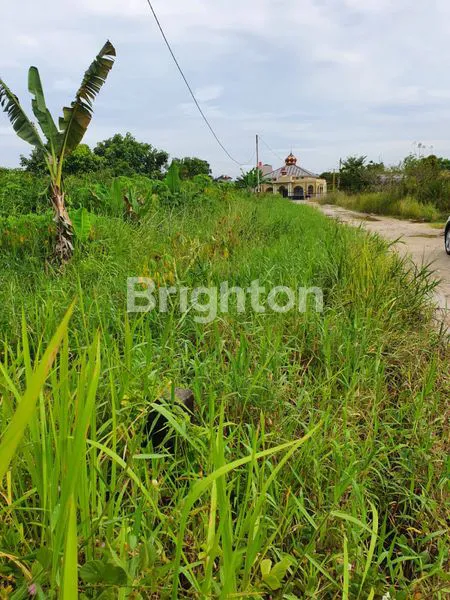 image DIJUAL TANAH KAPLING DI KOTA PEKANBARU RIAU (7)