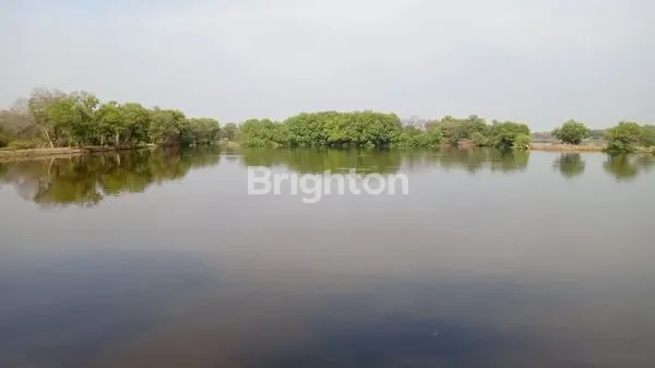 image TANAH DI TAMBAK OSO (3)