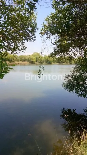 image TANAH DI TAMBAK OSO (4)