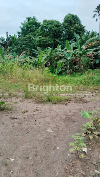 image TANAH SAMARINDA (3)