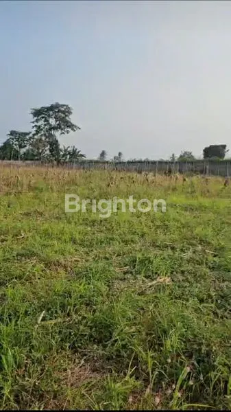 image TANAH DI LAMPUNG LOKASI DEKAT BANDARA (3)