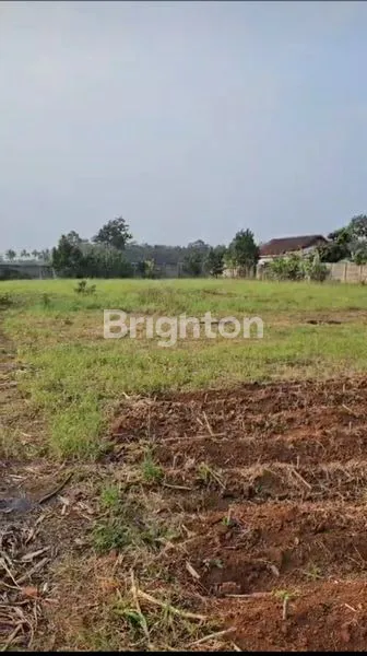 image TANAH DI LAMPUNG LOKASI DEKAT BANDARA (6)