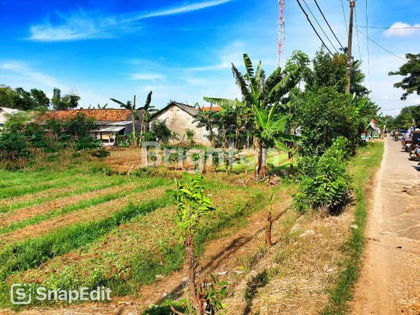 image TANAH KEBUN PINGGIR JALAN SIAP PAKE UTK BANGUN RUMAH, KONTRAKAN, USAHA DLL DI BABELAN BEKASI (1)