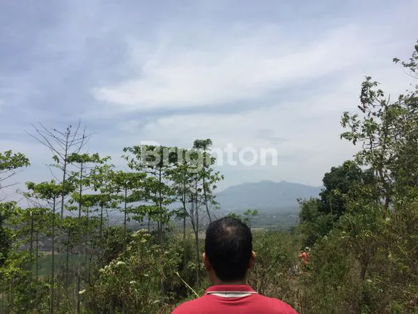 image JUAL TANAH SUBUR KAB.BANDUNG (4)