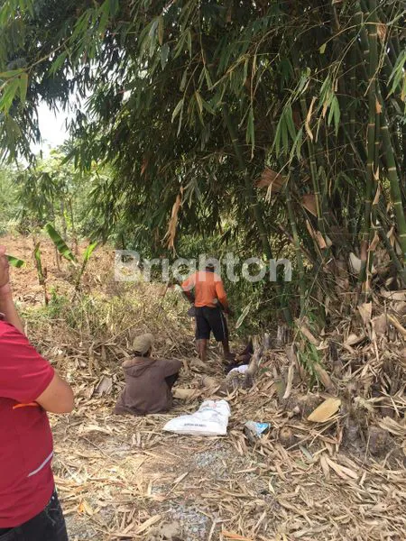 image JUAL TANAH SUBUR KAB.BANDUNG (6)