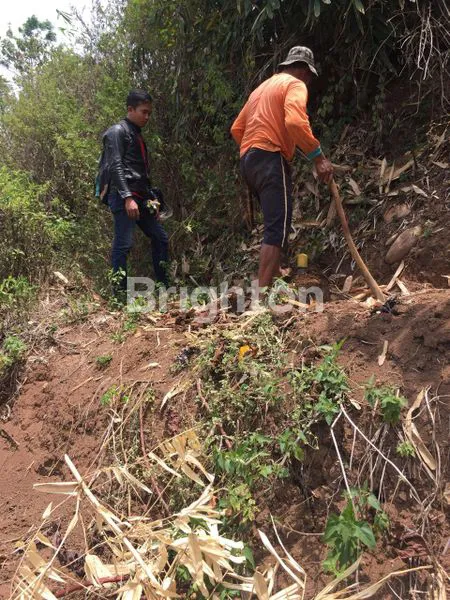 image JUAL TANAH SUBUR KAB.BANDUNG (3)