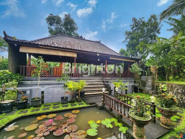 VILLA LUAS LOSS SUNGAI, VIEW SAWAH DAN GUNUNG DI AREA TABANAN