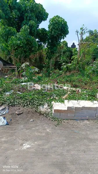 image TANAH 8,3 ARE DI JALAN BYPASS NGURAH RAI TUBAN (3)